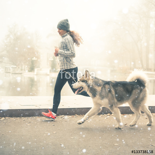 Advanced Dog Training